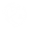 Cougar Chemical